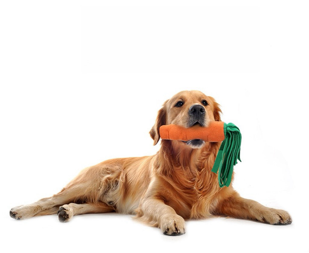 carrot toy