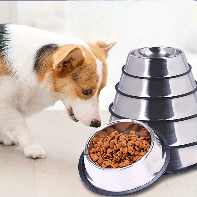 Dog bowl