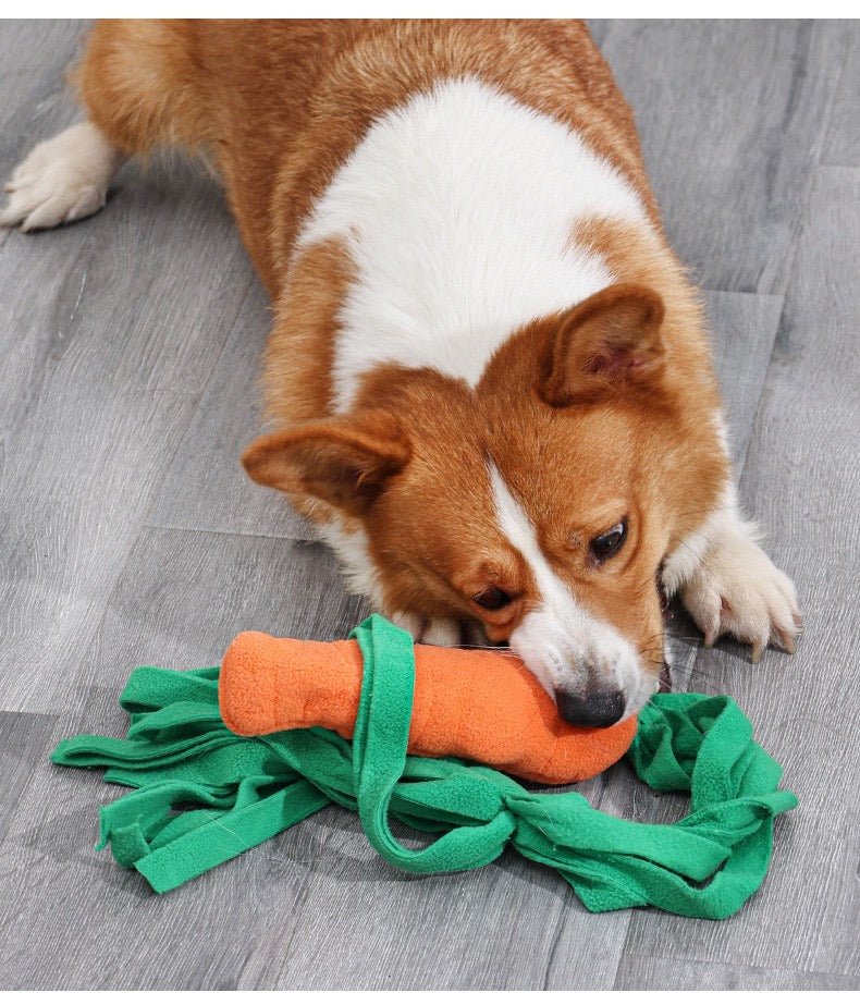 carrot toy