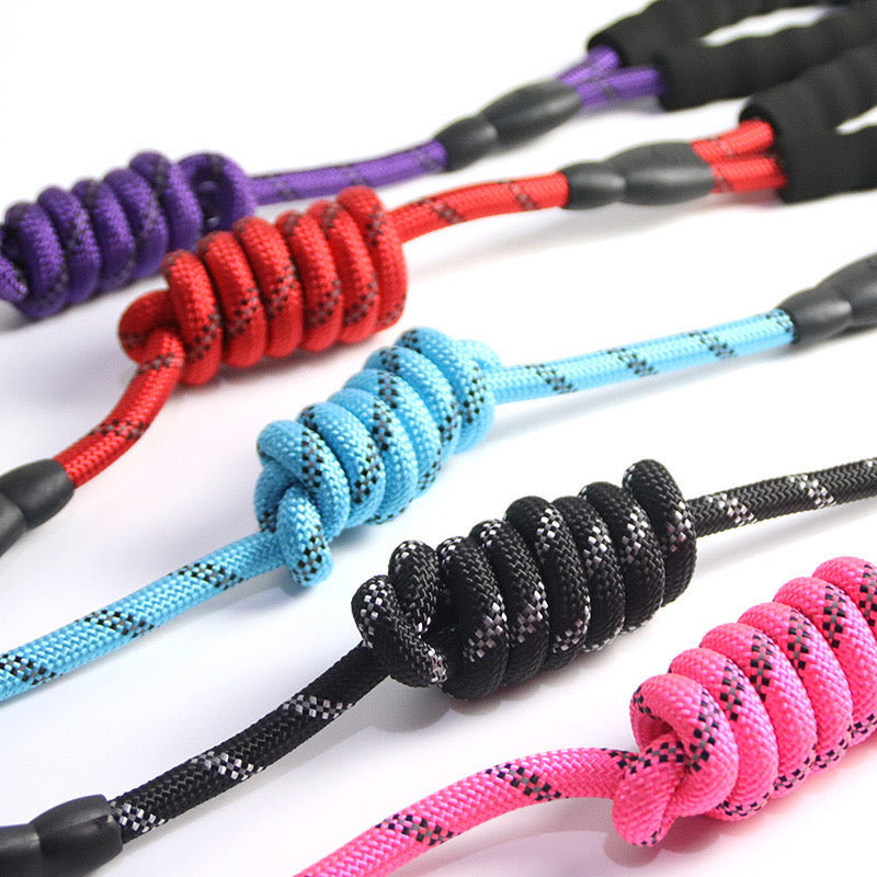 Dog Leash