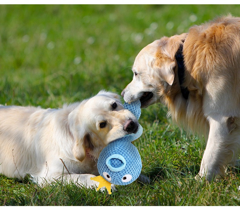 Dog teething toy