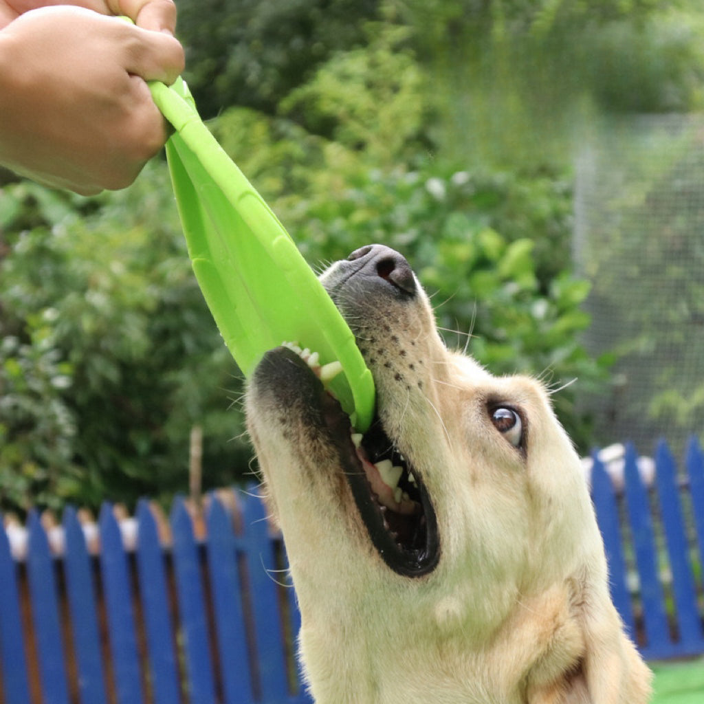 Dog Frisbee Pet Toy