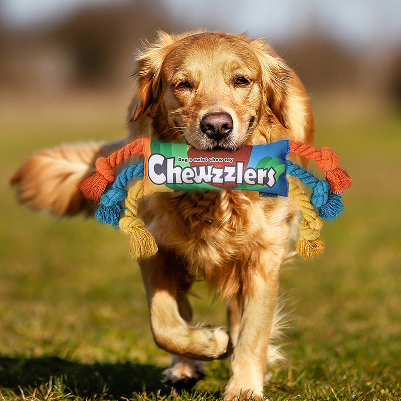 pet teething toys
