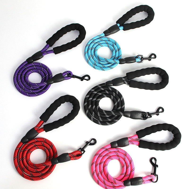 Dog Leash
