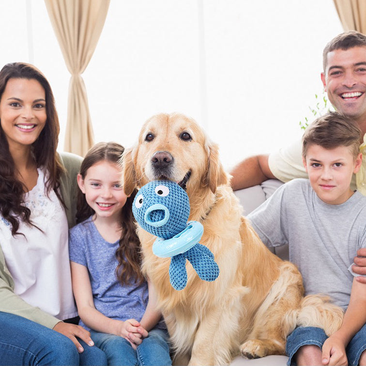 Dog teething toy