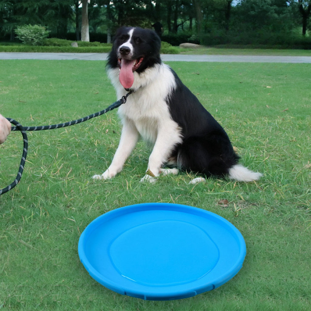 Dog Frisbee Pet Toy