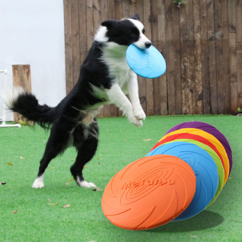 Dog Frisbee Pet Toy