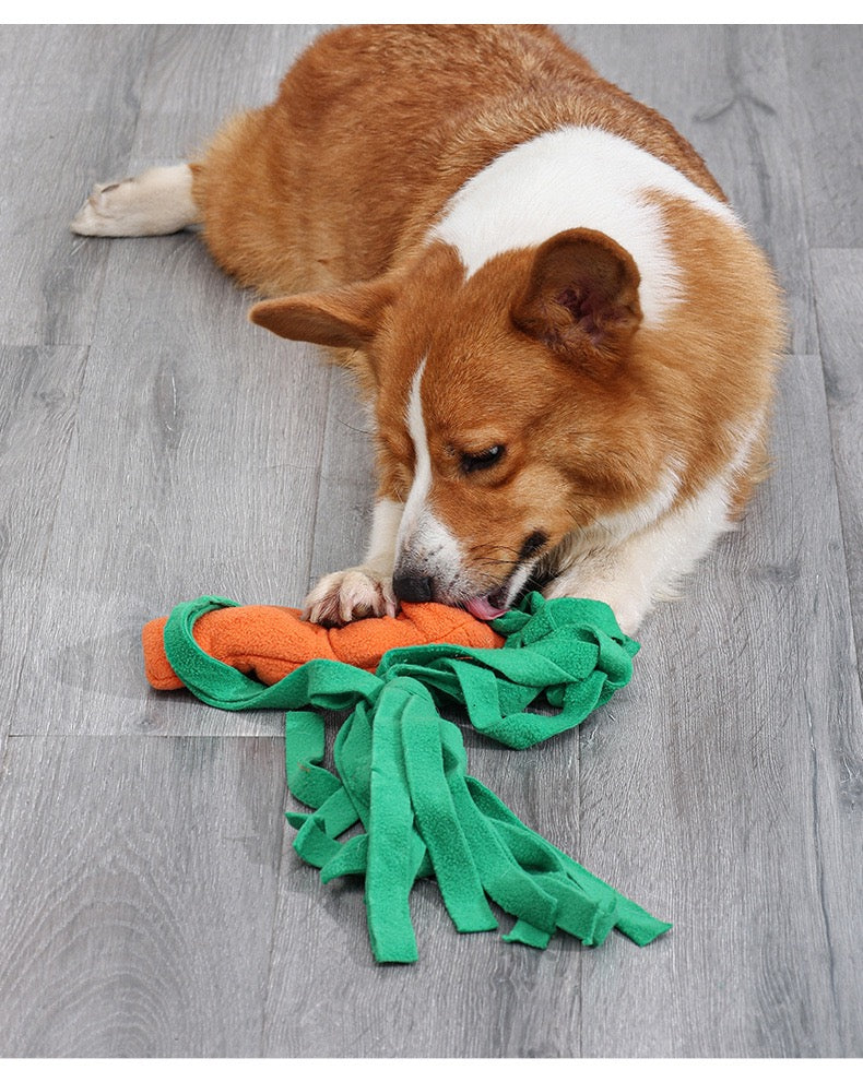 carrot toy