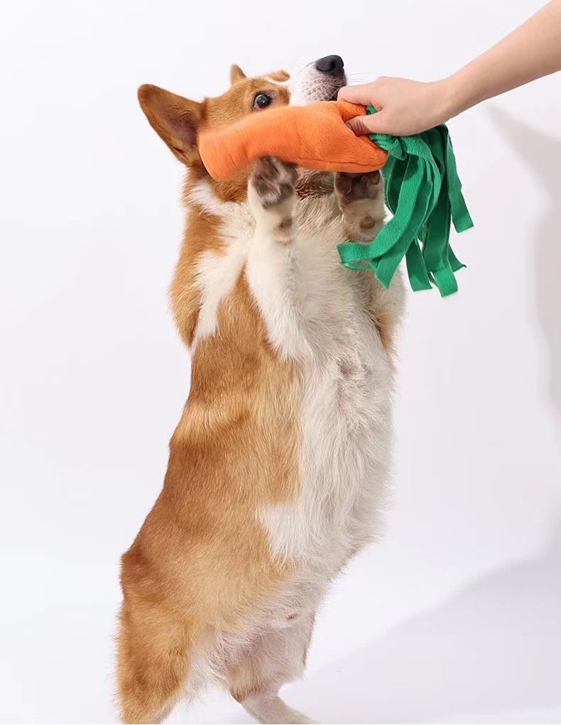 carrot toy